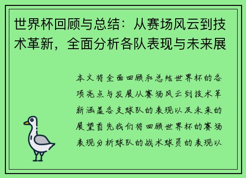 世界杯回顾与总结：从赛场风云到技术革新，全面分析各队表现与未来展望